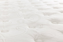 Load image into Gallery viewer, Austin_ET_-_surface_2