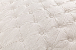The Backsense Charlotee Mattress By Therapedic