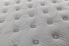 Load image into Gallery viewer, Interlude Plush - surface
