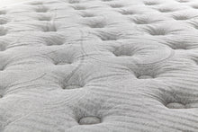 Load image into Gallery viewer, Interlude Plush - surface 2